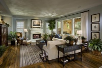 Bella Fiore - traditional - family room - las vegas