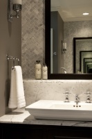 Seeley Master Bath B - traditional - bathroom - chicago