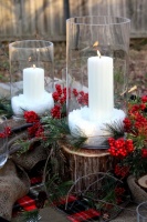 Christmas Tablescape - traditional - dining room - other metro