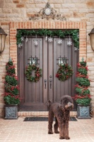 Holiday Decor - contemporary - entry - columbus