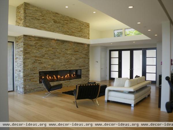 Olive Tree Lane - modern - living room - san francisco