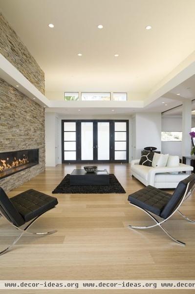 great room - contemporary - living room - san francisco