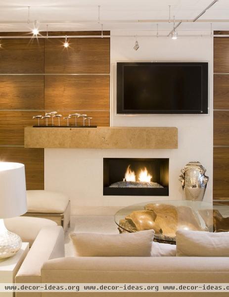 Warm Contemporary - contemporary - living room - jacksonville
