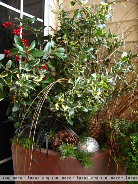 Holiday Container Gardens -  - landscape - seattle