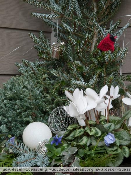 Holiday Container Gardens -  - landscape - seattle