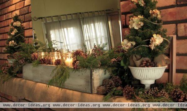 Dawn Mohrmann's Nature Inspired Mantel - traditional - family room - new york