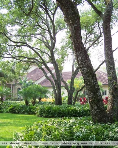 Hollywood Residence - 01 - tropical - landscape - miami