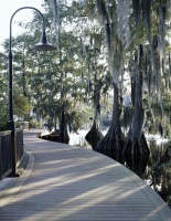 BLISS ON THE BAYOU