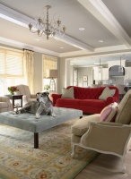 Bridge Street Residence Living Room - contemporary - living room - minneapolis
