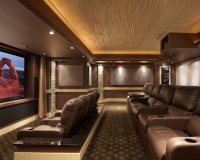 Leesburg Theater - modern - media room - dc metro