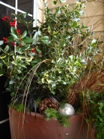 Holiday Container Gardens -  - landscape - seattle