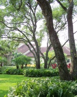 Hollywood Residence - 01 - tropical - landscape - miami