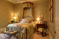 Thibaut Designs Toile on Toile Guest Bedroom - traditional - bedroom - new orleans