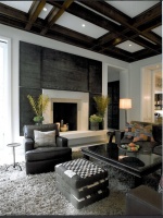 Living Room - contemporary - living room - chicago