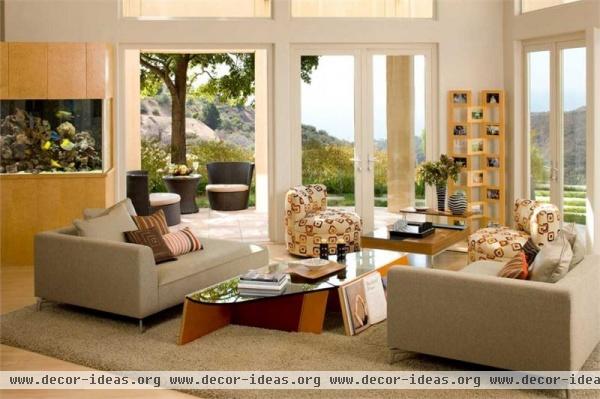 Casual Contemporary Living Room by Susan Jay Freeman
