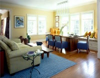 Relaxing Transitional Family Room by Diane Paparo