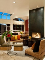 Cozy Transitional Living Room by Jane Ellison