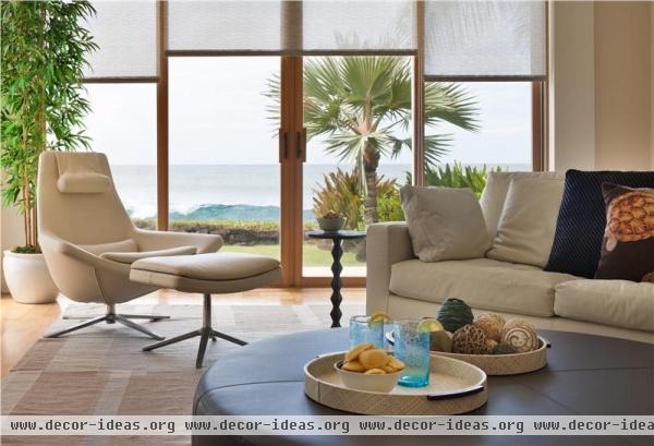Casual Contemporary Living Room by Elizabeth Rosensteel
