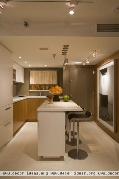 Open Contemporary Kitchen by Ernesto Santalla, AIA LEED AP
