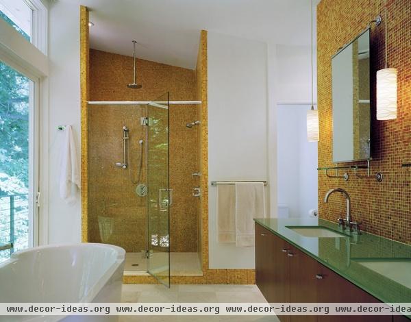 The Levine Group - contemporary - bathroom - dc metro The Levine Group - contemporary - bathroom - dc metro