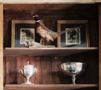 Eclectic Decor