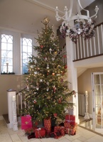 Traditional Decor