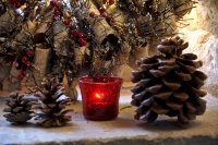Traditional Decor