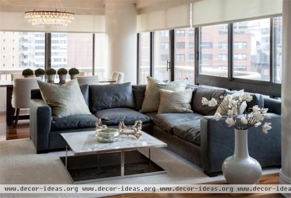 Light Transitional Living Room by amy lee
