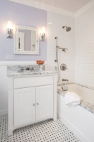 Chevy Chase Kids Bath - traditional - bathroom - dc metro