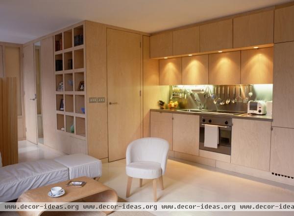 Modern Kitchen