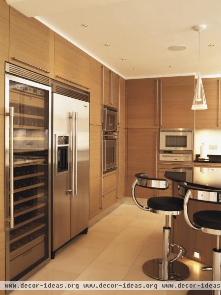 Modern Kitchen