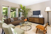 Amoroso Design - modern - living room - san francisco