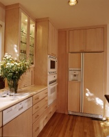 Contemporary Kitchen