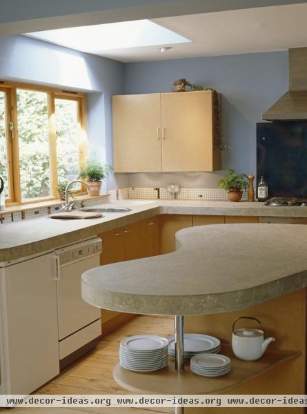 Contemporary Kitchen Contemporary Kitchen