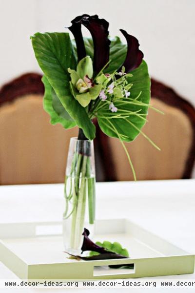 alocasia arrangement