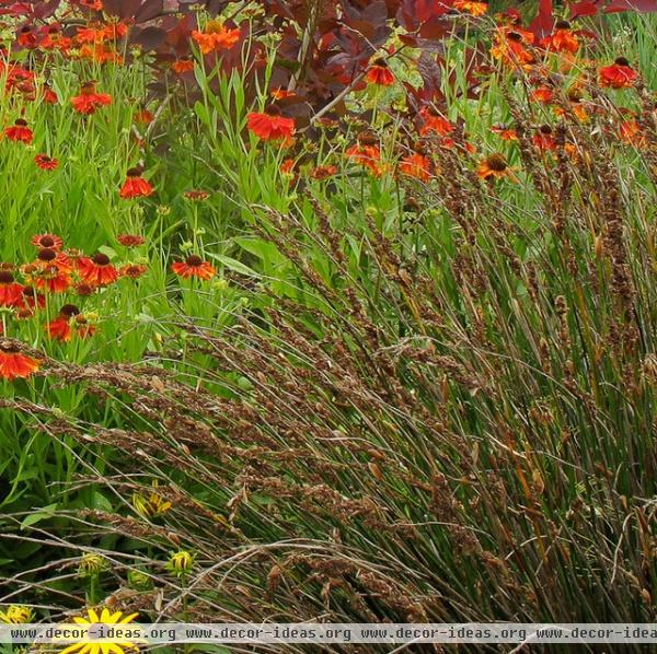 traditional landscape by Le jardinet