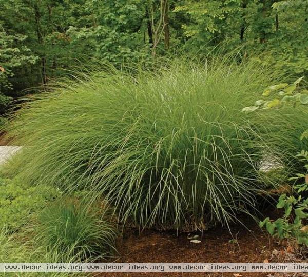 landscape by Missouri Botanical Garden