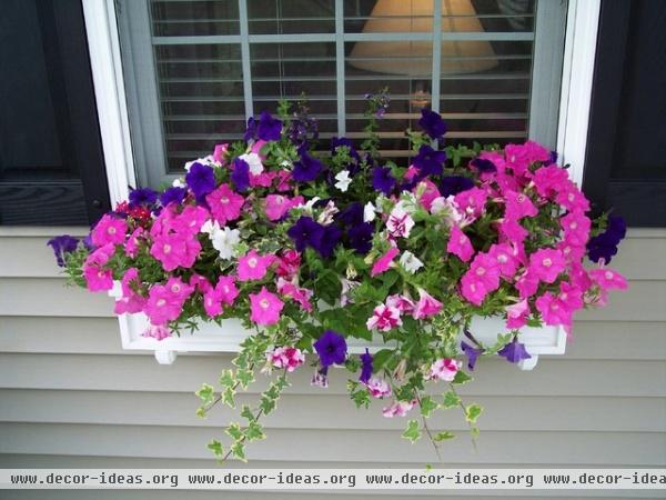 traditional landscape Window Box