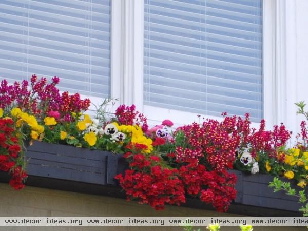 traditional landscape by The Windowbox Gardener