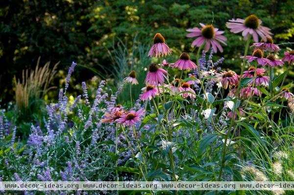 contemporary landscape by Matthew Cunningham Landscape Design LLC