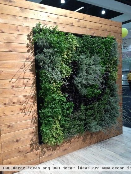 modern  Eco Walls