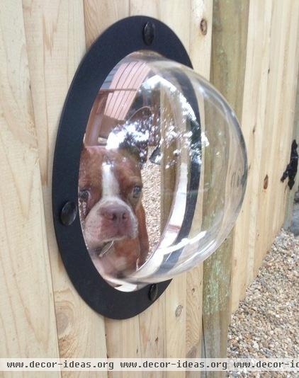 Houzz Call: Pet Projects in the Yard