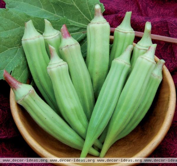 Warm-Season Vegetables: How to Grow Okra