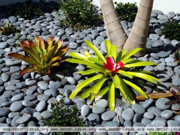 tropical landscape by Grants Gardens