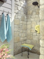 Outdoor Living Area - traditional - bathroom - st louis