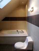 Bathrooms - modern - bathroom - boston