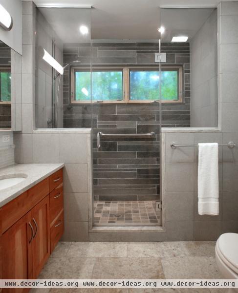 Brach-Foust Guesthouse - contemporary - bathroom - dc metro