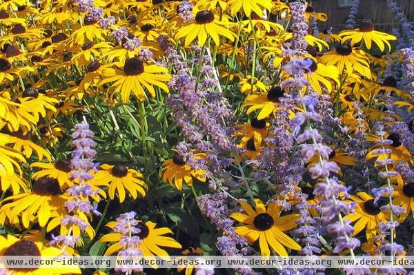 traditional by R Design Landscape Architecture Inc. P.C.