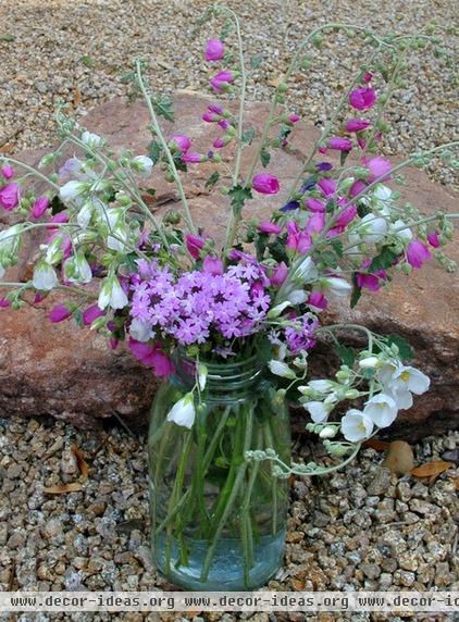 traditional by Noelle Johnson Landscape Consulting