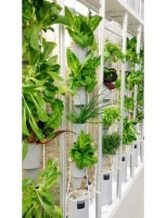 Guest Picks: High-Tech Plant Helpers